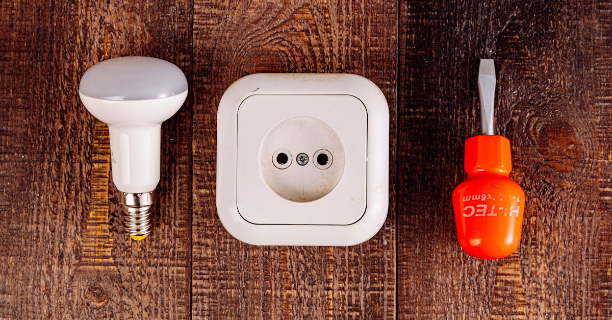 découvrez notre guide complet sur les plugs anaux, des conseils pour débutants aux critères de sélection des meilleurs modèles. améliorez votre expérience intime en toute sécurité et plaisir.