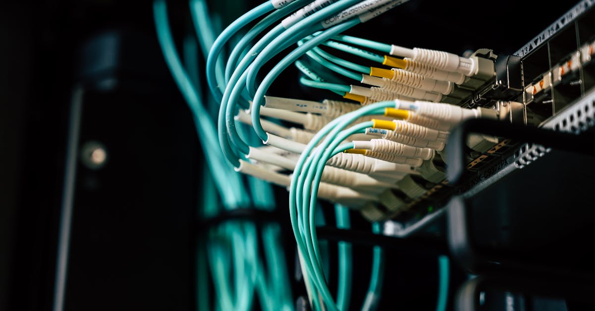 découvrez tout ce qu'il faut savoir sur l'usage sécurisé et les bienfaits des plugs anaux. explorez une nouvelle dimension de plaisir et d'intimité, avec des conseils et recommandations pour débutants et expérimentés.